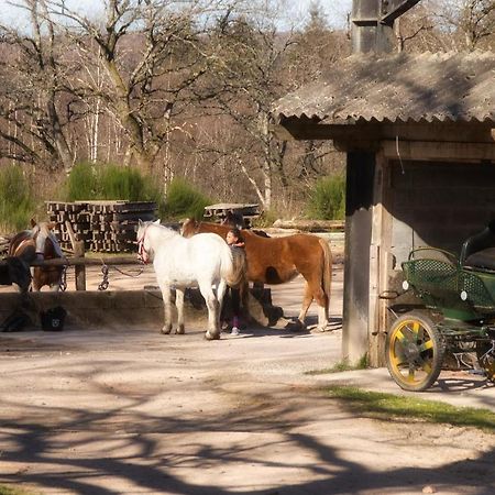 Appartamento Domaine Du Bois Du Loup Saint-Agnan  Esterno foto
