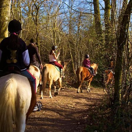 Appartamento Domaine Du Bois Du Loup Saint-Agnan  Esterno foto