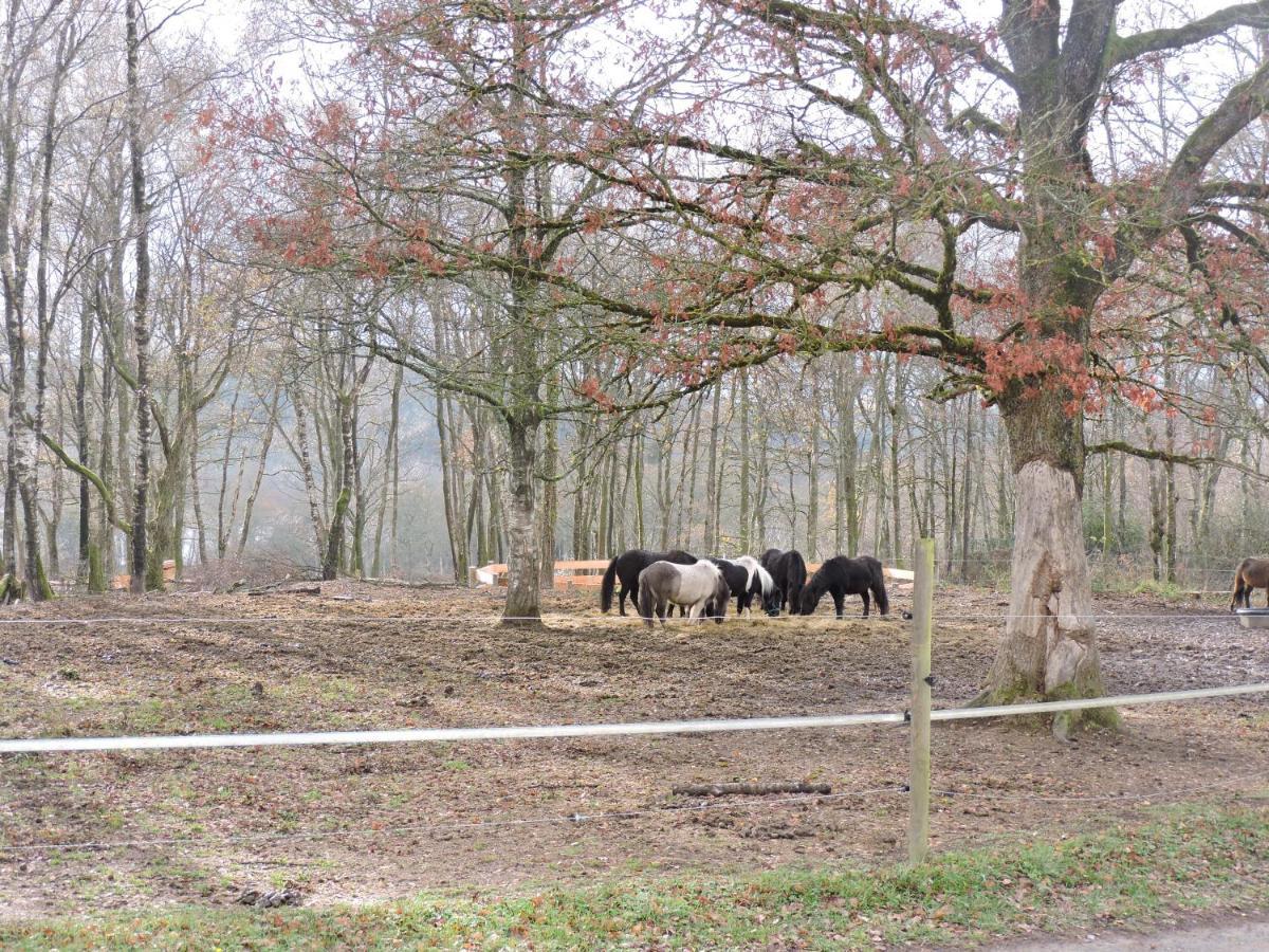 Appartamento Domaine Du Bois Du Loup Saint-Agnan  Esterno foto