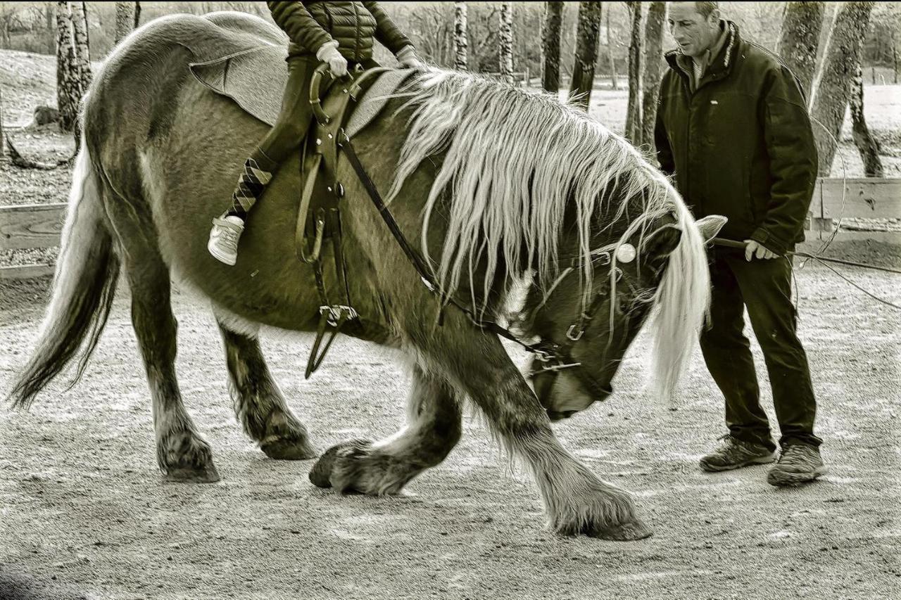 Appartamento Domaine Du Bois Du Loup Saint-Agnan  Esterno foto